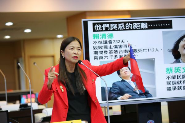 議員王家貞自由發言質詢-黃偉哲四個月爭取到中華民國近一年總預算，怒批『假新聞』